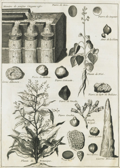 Làmina de Livre sur la Nature, vertu et utilité des plantes (1628). A baix, a la dreta, representació d’un exemplar de licorne minerale. El seu autor, Guy la Brosse, eminent botànic i metge del rei de França, la defineix com “una pedra que té forma de banya i la consistència d'una pedra”